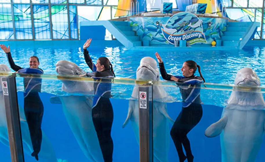 SeaWorld San Antonio, United States